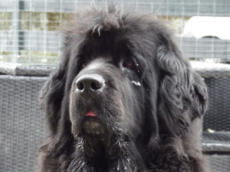 Génésis des Seigneurs de l'Odyssée