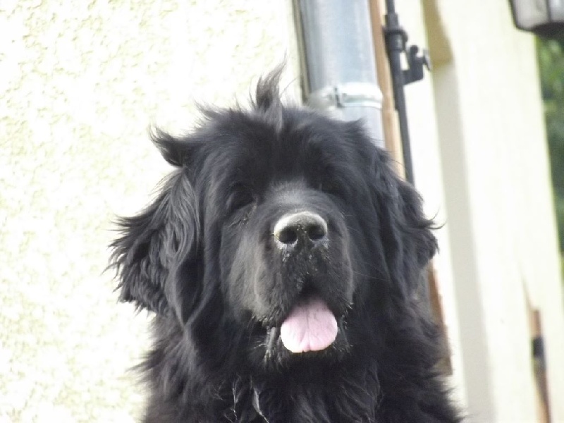 Génésis des Seigneurs de l'Odyssée