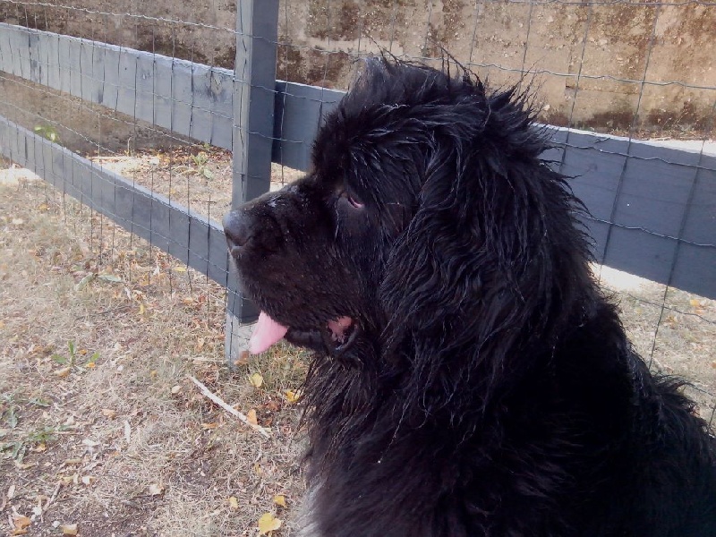 Génésis des Seigneurs de l'Odyssée