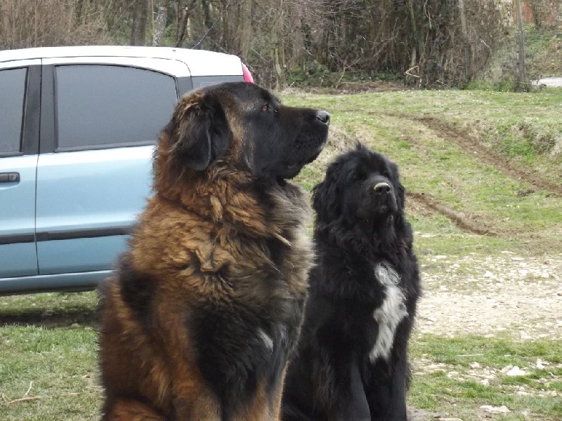 Génésis des Seigneurs de l'Odyssée