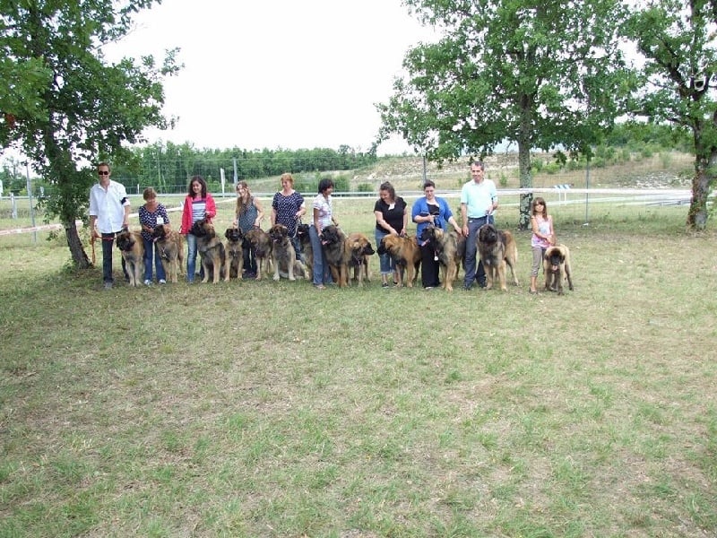 Publication : Inukamour Auteur : Maite AMATLLER