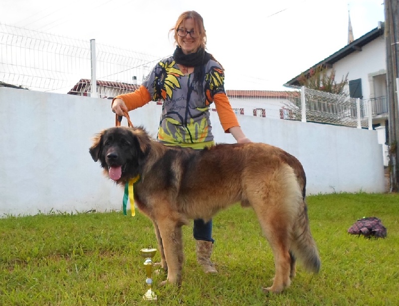 Publication : Inukamour Auteur : Maite AMATLLER