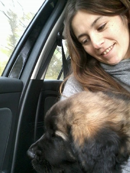 Publication : Inukamour Auteur : Maite AMATLLER