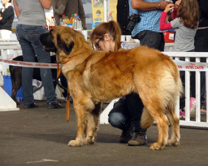 Publication : Inukamour Auteur : MAITE AMATLLER