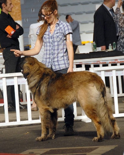 Publication : Inukamour Auteur : Maite AMATLLER