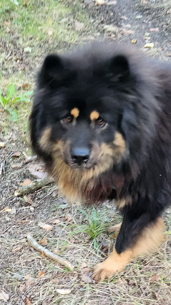 Toska Du Mistral Normand