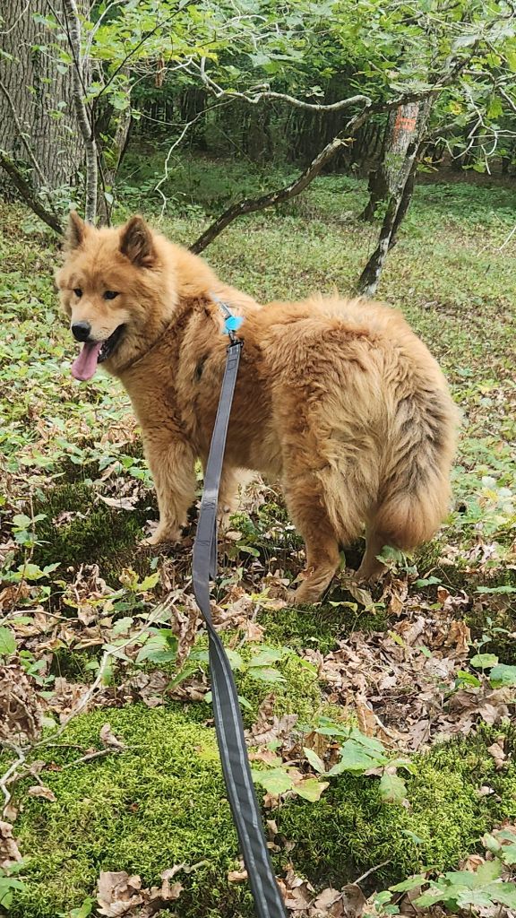 Vania Du Mistral Normand