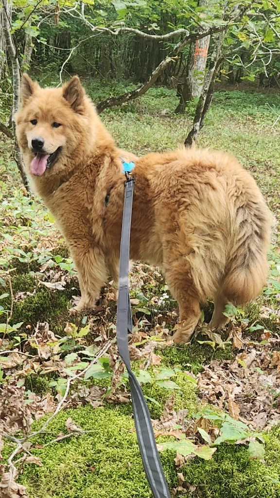 Vania Du Mistral Normand