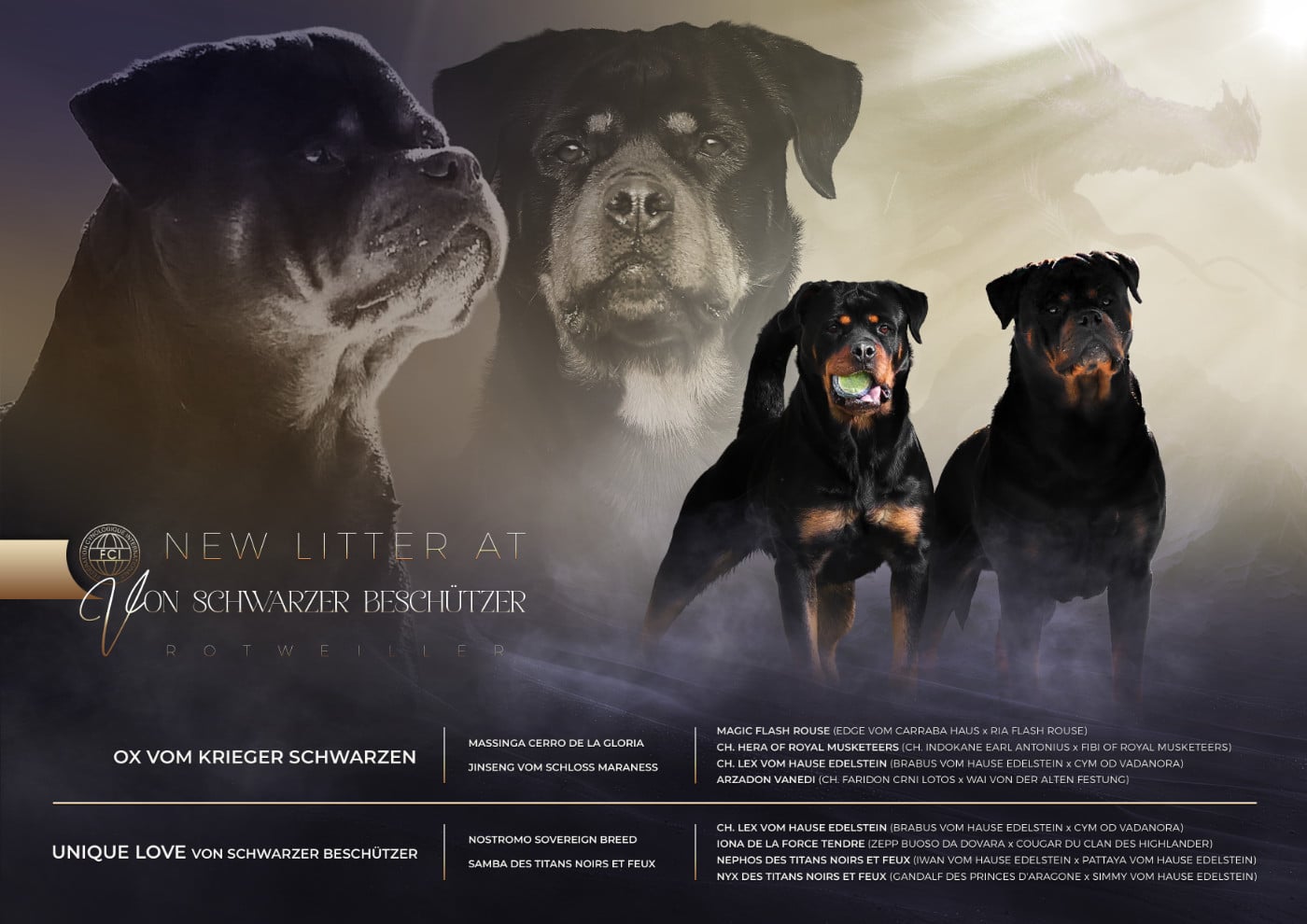 Rottweiler - Von Schwarzer Beschützer