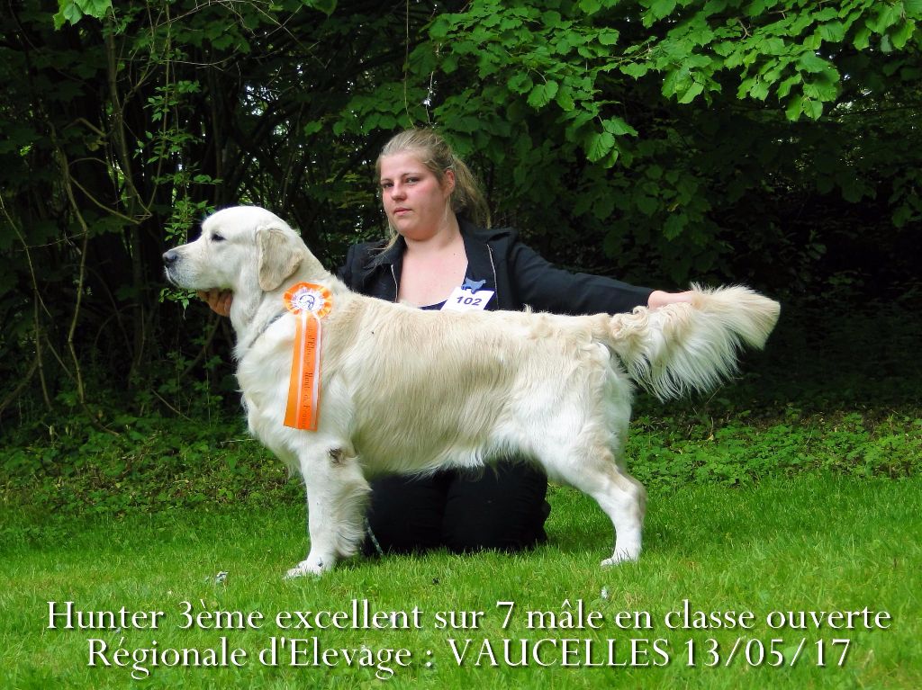 Hunter (Sans Affixe) - 3ème excellent / 7