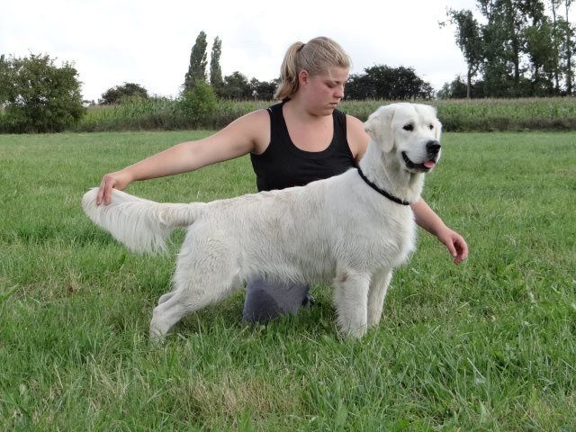 Hunter (Sans Affixe) - Obtention de sa Confirmation