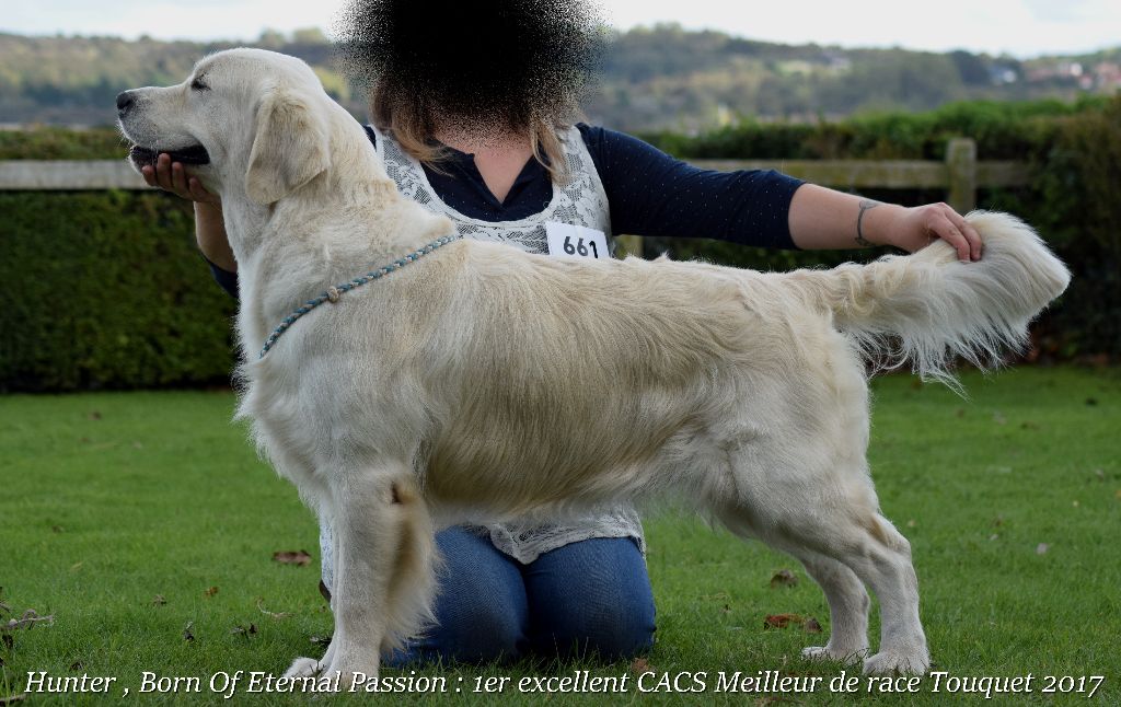 Hunter (Sans Affixe) - 1er Exellent CACS et Meilleur de Race