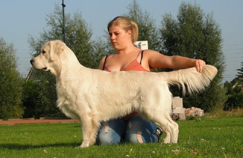 Hunter (Sans Affixe) - 3eme excellent