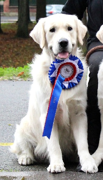 Hunter (Sans Affixe) - 1er excellent CACS