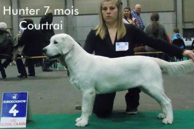 Hunter (Sans Affixe) - 4 ème trés prometteur