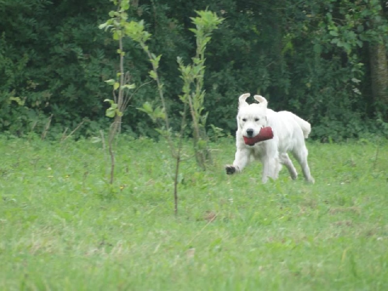 Hunter (Sans Affixe) - Obtention du TAN