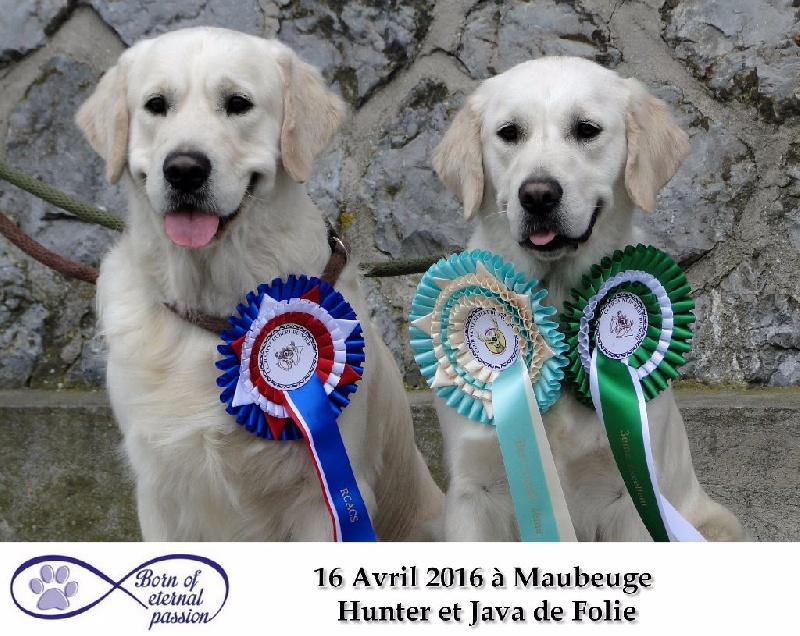 Hunter (Sans Affixe) - 2ème Excellent RCACS + 2ème meilleur couple