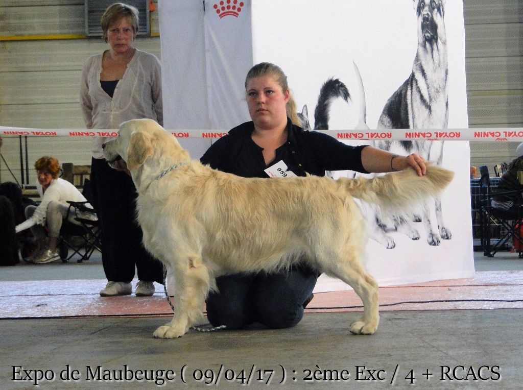 Hunter (Sans Affixe) - 2ème Excellent / 4 + RCACS