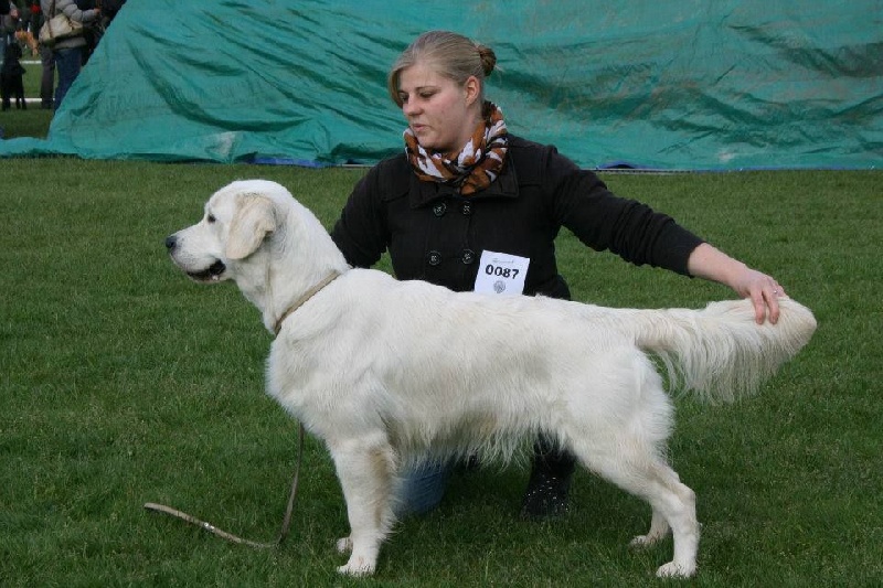 Hunter (Sans Affixe) - Excellent Non Classé