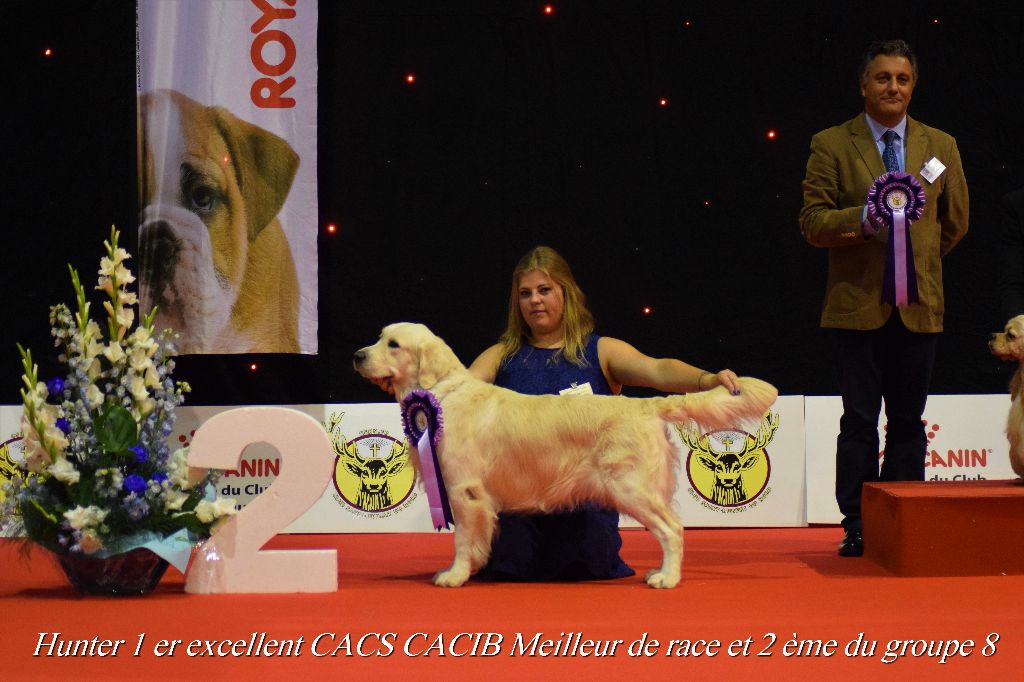 Hunter (Sans Affixe) - 1er Ex CACS , CACIB , Meilleur de Race et 2ème du groupe 8