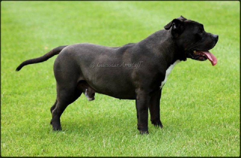 Bouba (Sans Affixe)