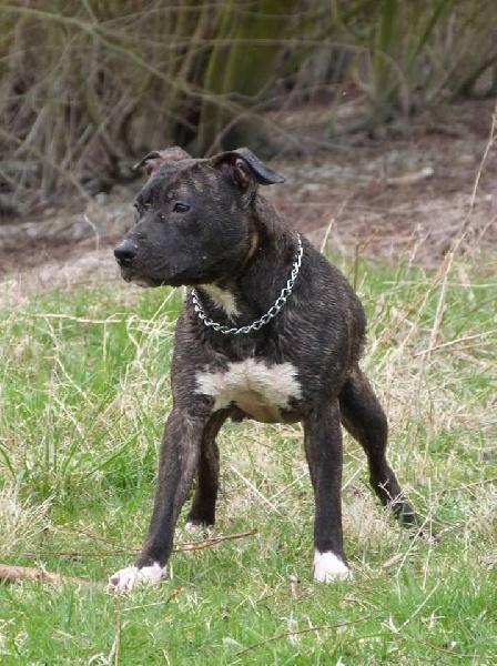 Distinct Origins Joyce