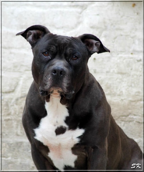 Bouba (Sans Affixe)