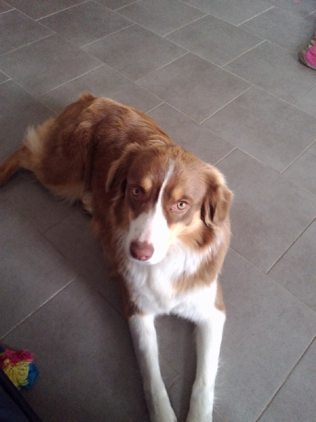 Publication : Du Ruisseau De L'agache