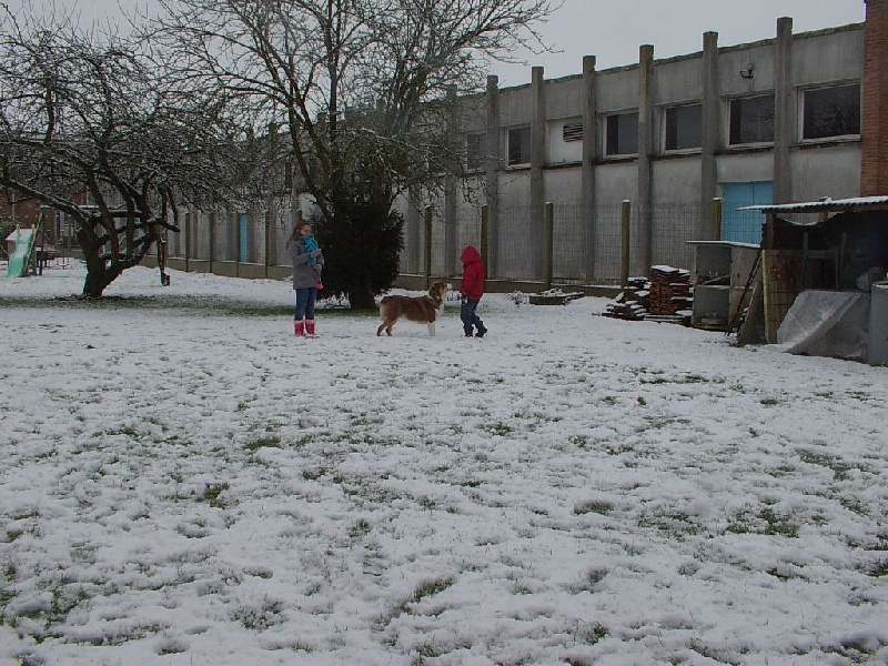 Publication : Du Ruisseau De L'agache