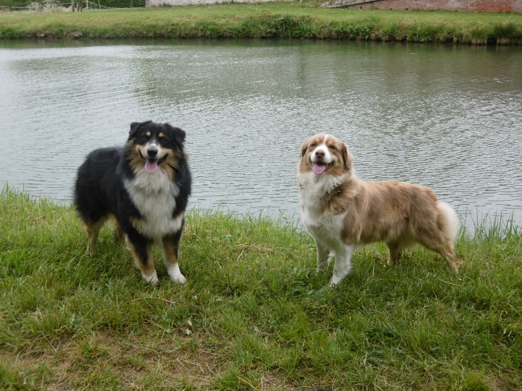 Publication : Du Ruisseau De L'agache