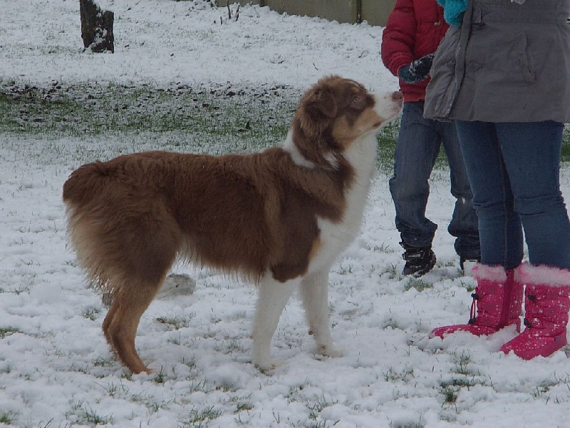 Publication : Du Ruisseau De L'agache