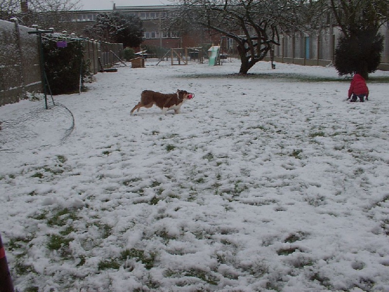 Publication : Du Ruisseau De L'agache