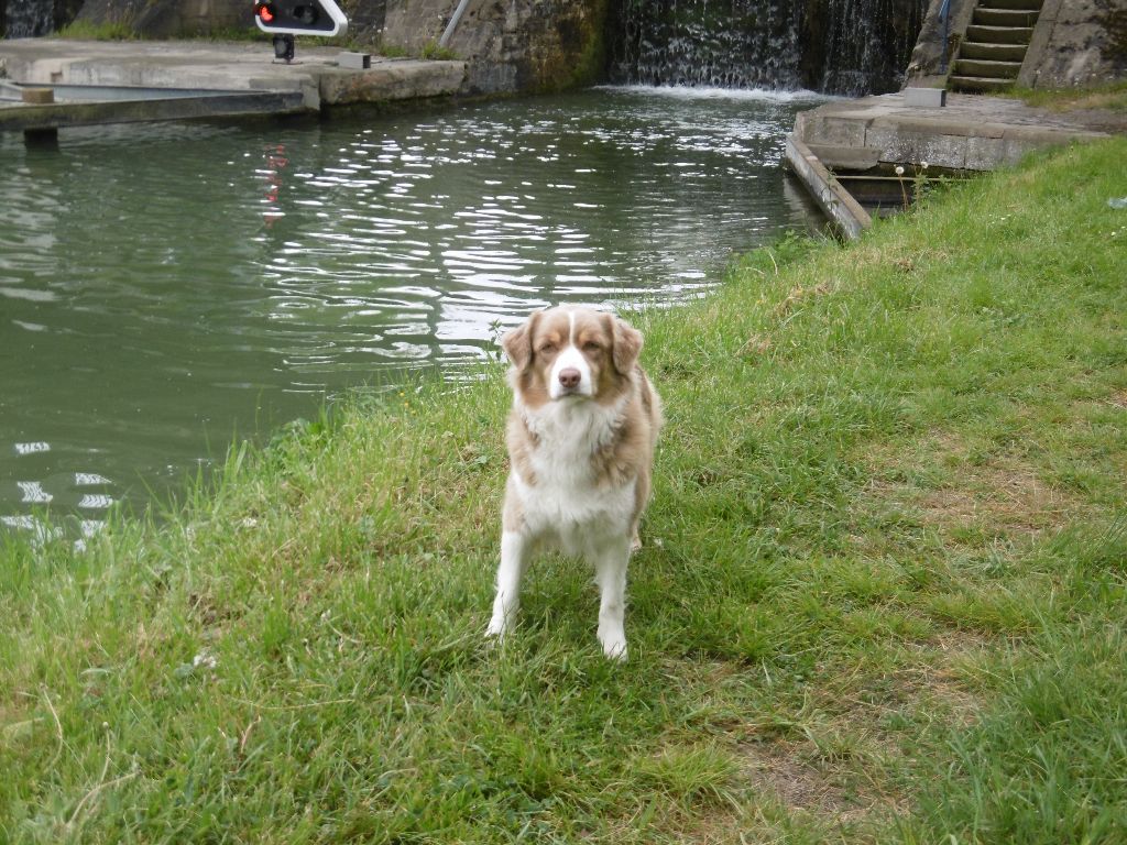 Publication : Du Ruisseau De L'agache