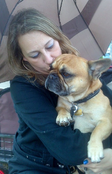 oxola bull Hémilio des bulls des hautes falaises - 3 èm Excellent