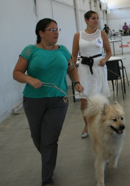 G'haïku des Legendes de Retz - 4ème excellent