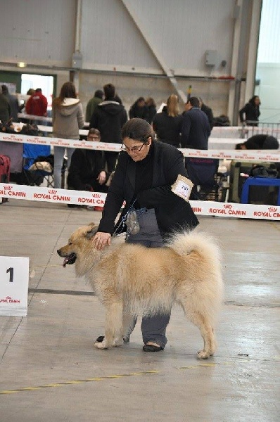 G'haïku des Legendes de Retz - 3ème excellent