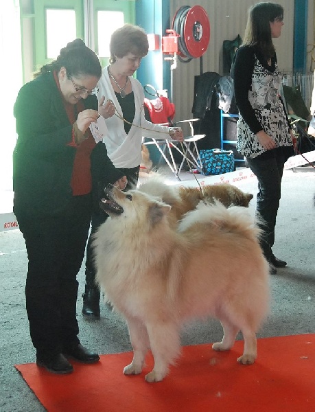 G'haïku des Legendes de Retz - Excellent non classé