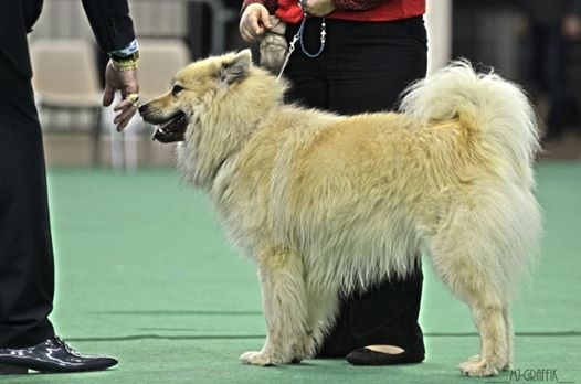 G'haïku des Legendes de Retz - Très Bon non classé