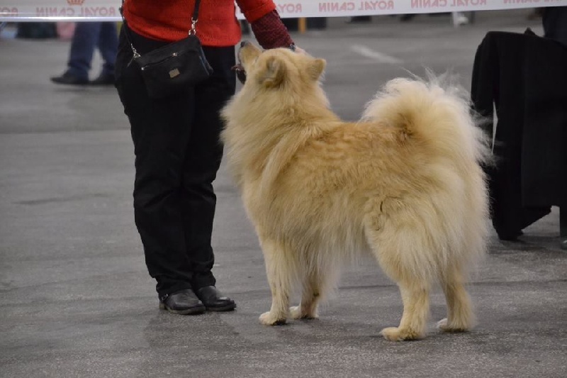 G'haïku des Legendes de Retz - 4ème Excellent