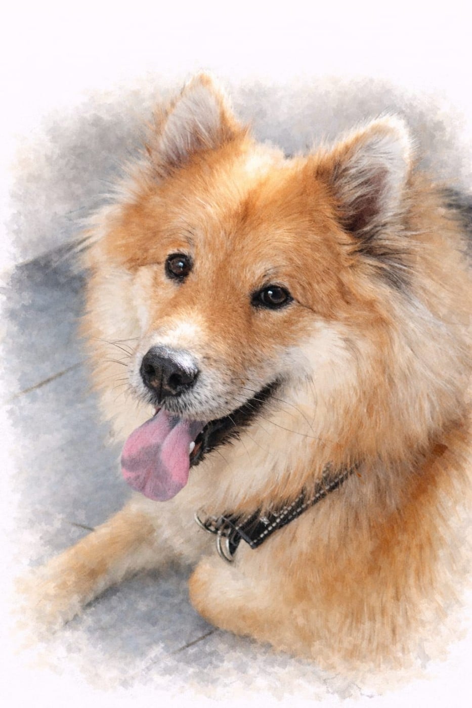 VIENTIANE Du Val De La Fenouillere