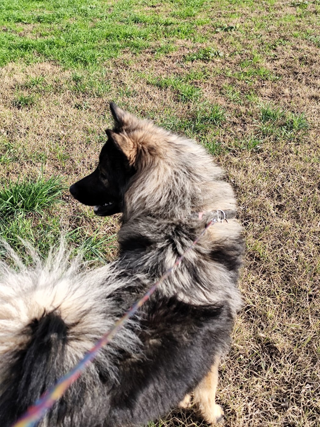 Astral Nova Du Val De La Fenouillere