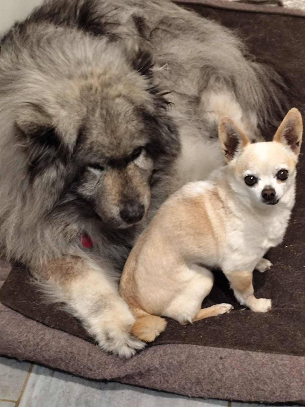 Publication : Du Val De La Fenouillere Auteur : V. MICHEL