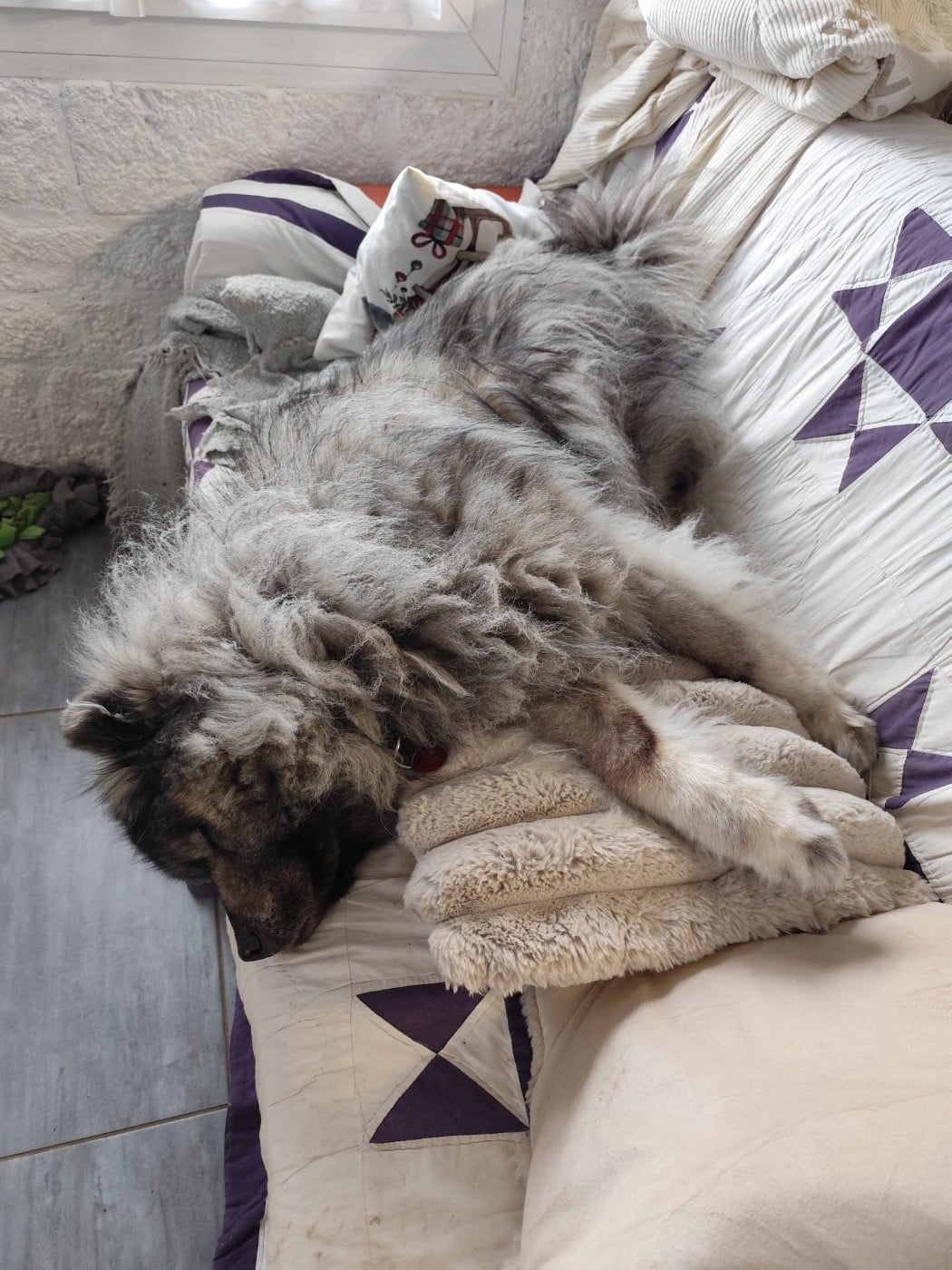 Publication : Du Val De La Fenouillere Auteur : V. MICHEL