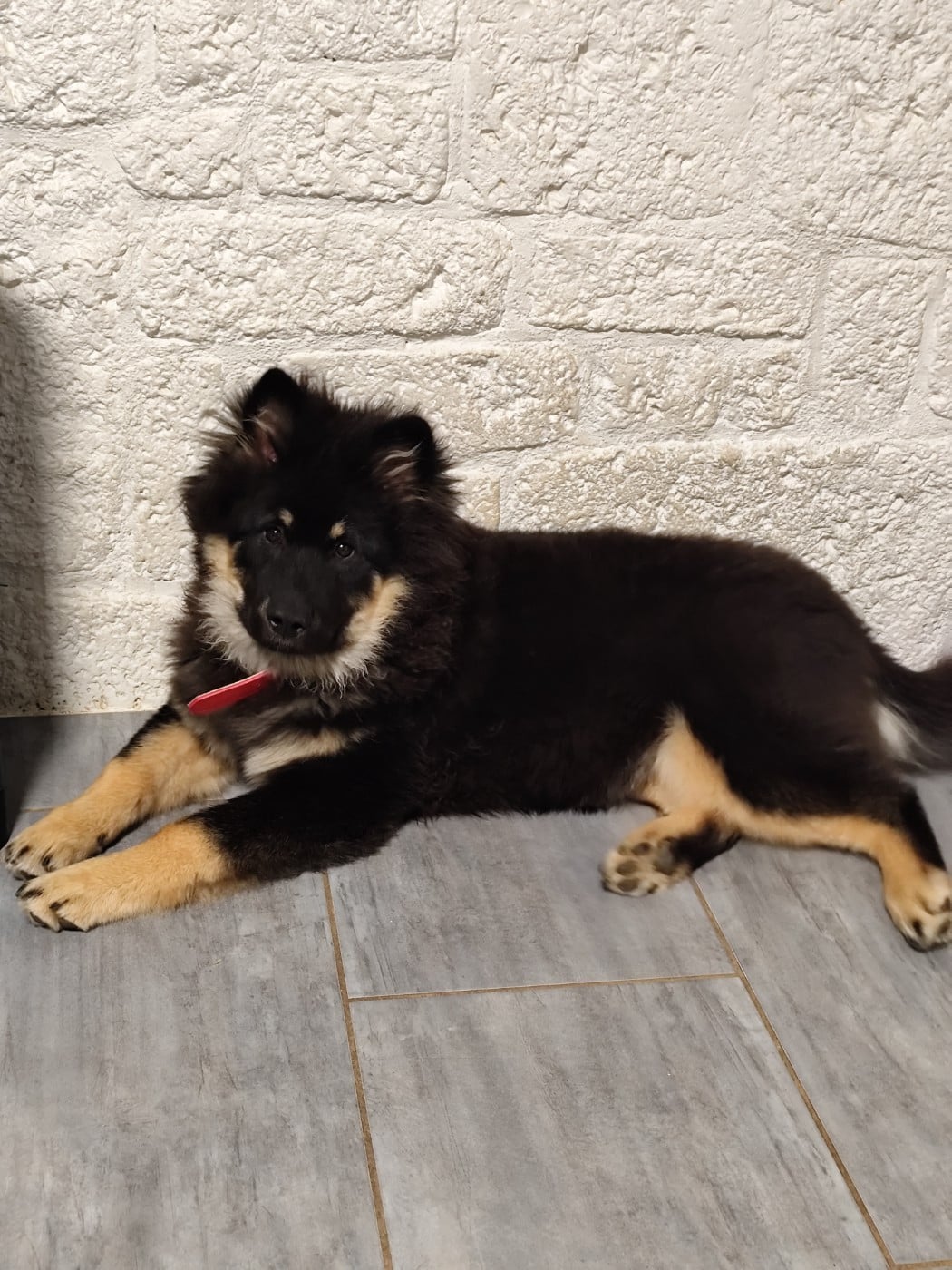 Publication : Du Val De La Fenouillere