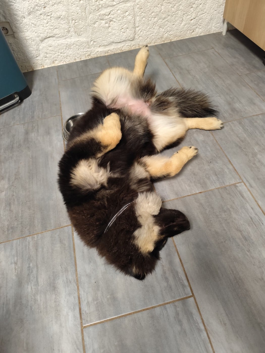 Publication : Du Val De La Fenouillere