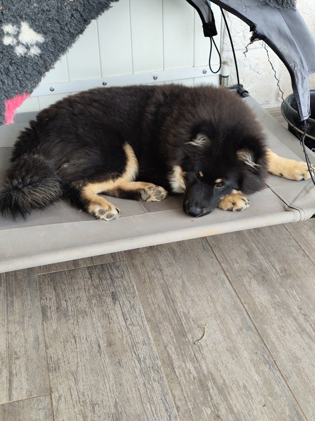 Publication : Du Val De La Fenouillere