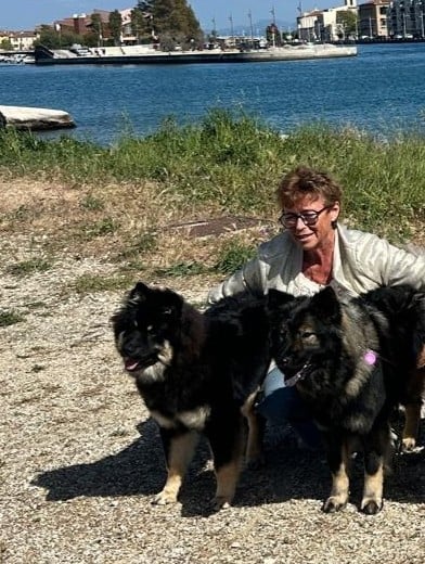Andjhi Des Loups De Niflheim