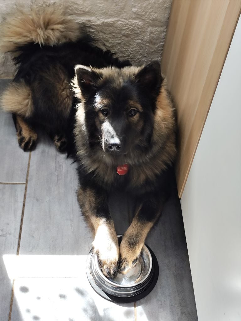 Astral nova Du Val De La Fenouillere