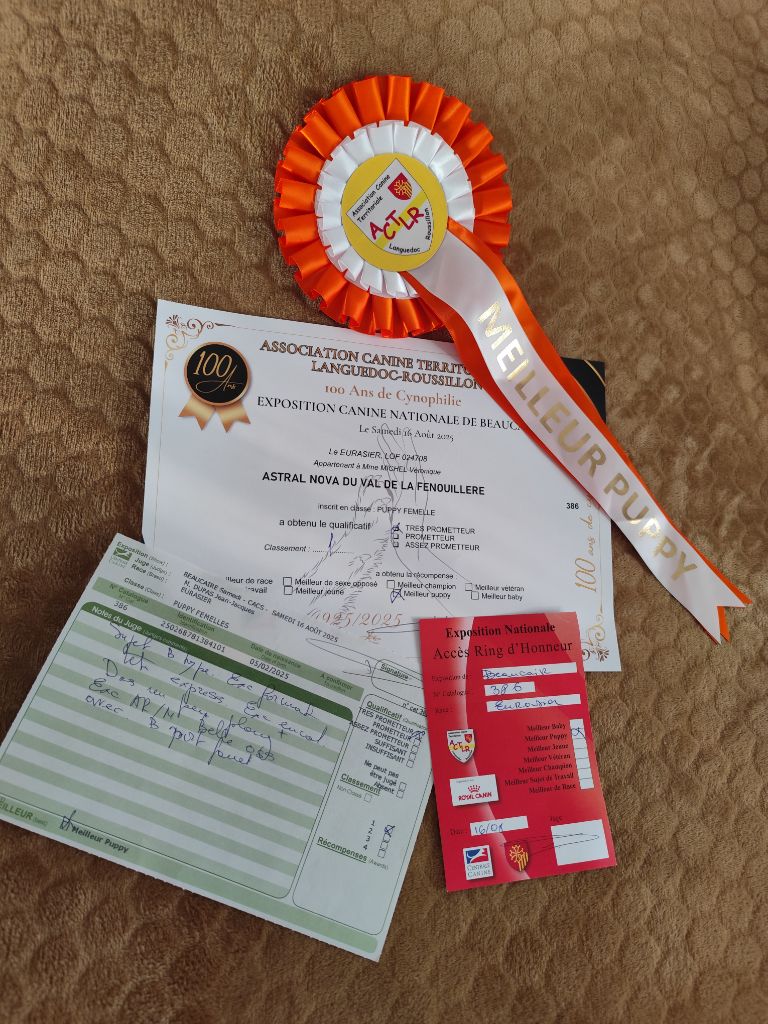 Astral nova Du Val De La Fenouillere - 1ère Très Prometteur + meilleur puppy
