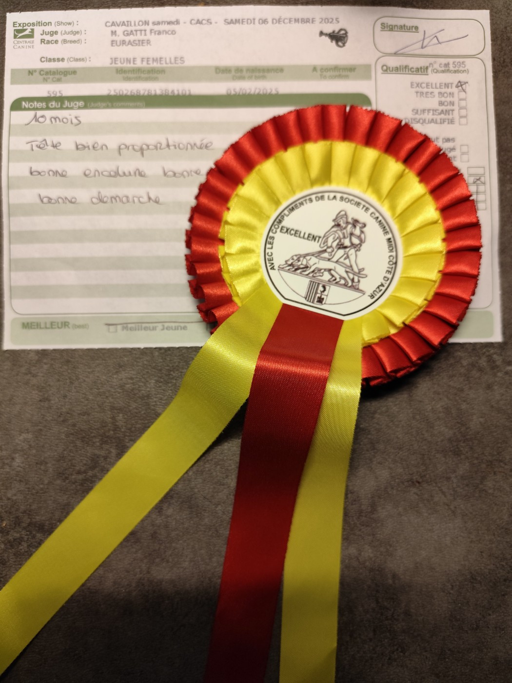 Astral Nova Du Val De La Fenouillere - 2ème excellent